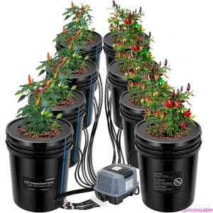 5-Gallon Hydroponic DWC System